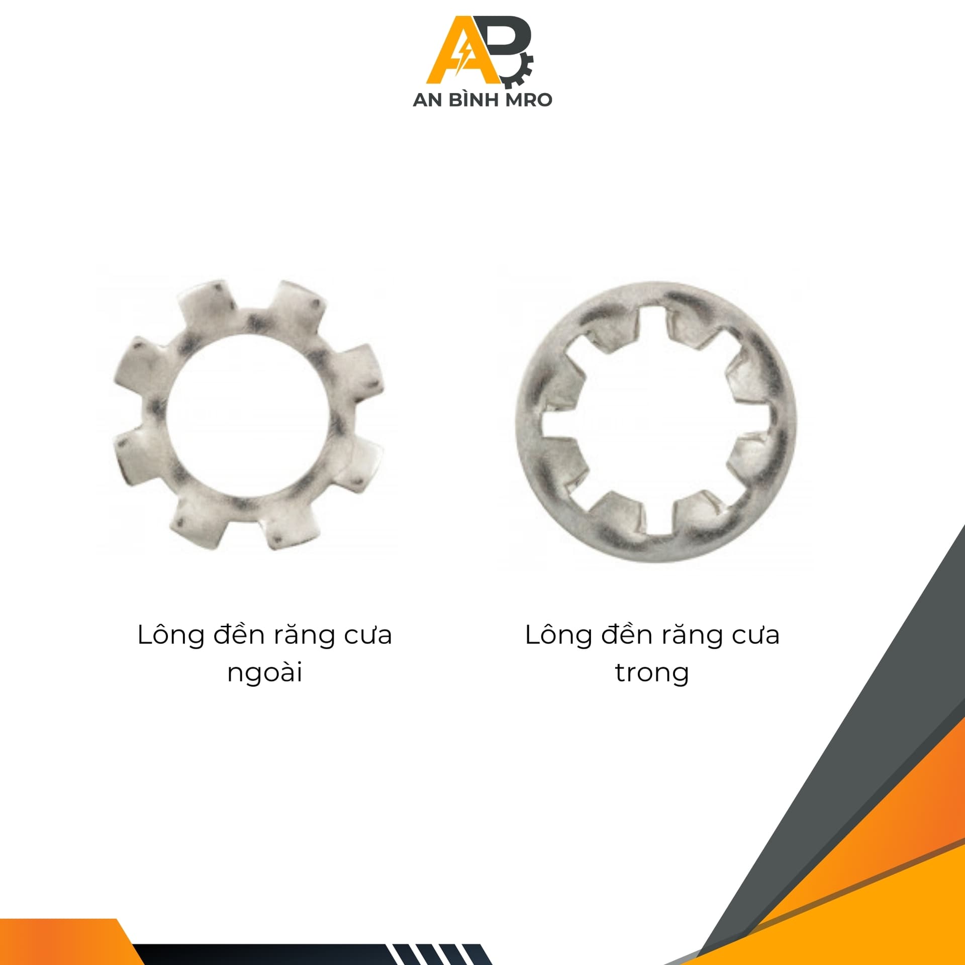 Lông đền răng cưa